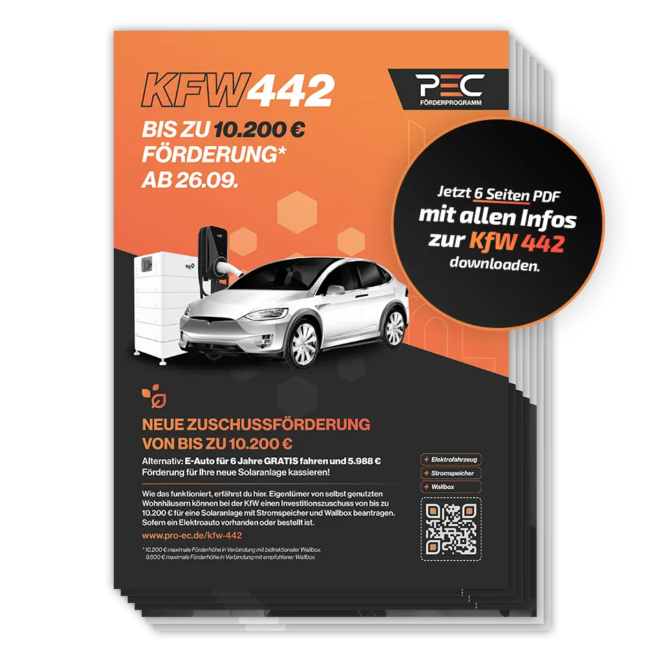 KfW 442 PDF Download